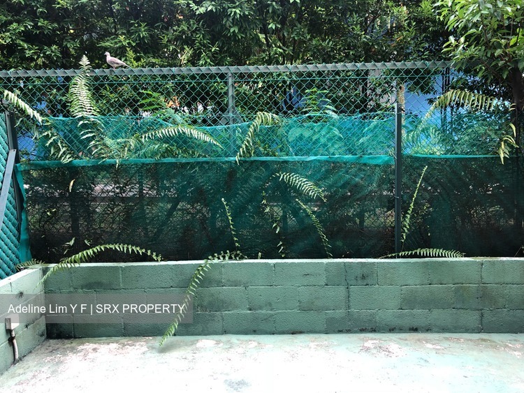 Lakeside Grove (D22), Terrace #172881702